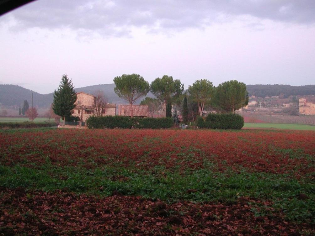 בית הארחה Valli 	Casale Il Colombaio Di Toiano מראה חיצוני תמונה